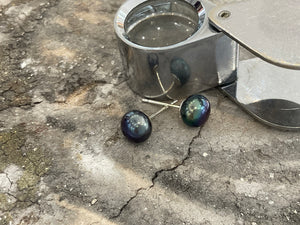 FRESHWATER PEARL EARRINGS - ess7b-sil