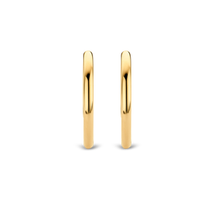 TI SENTO - Milano Earrings 7782SY